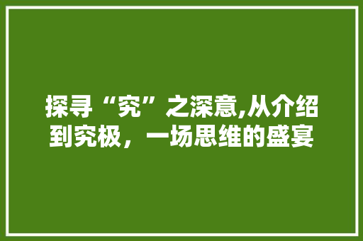 探寻“究”之深意,从介绍到究极，一场思维的盛宴