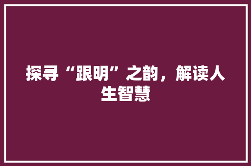 探寻“跟明”之韵，解读人生智慧 工作总结