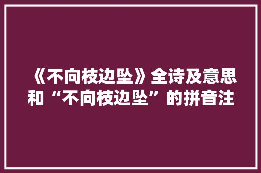 《不向枝边坠》全诗及意思和“不向枝边坠”的拼音注释