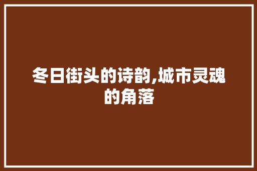 冬日街头的诗韵,城市灵魂的角落