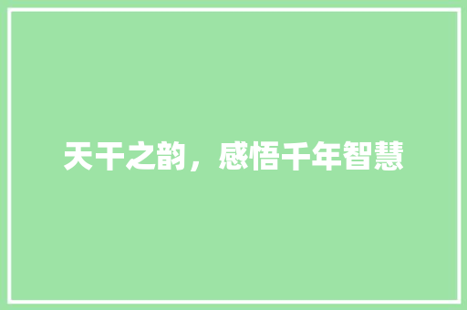 天干之韵，感悟千年智慧