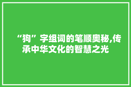 “狗”字组词的笔顺奥秘,传承中华文化的智慧之光