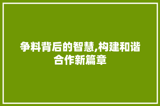 争料背后的智慧,构建和谐合作新篇章