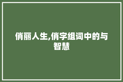 俏丽人生,俏字组词中的与智慧