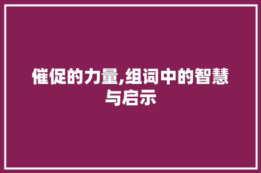 催促的力量,组词中的智慧与启示