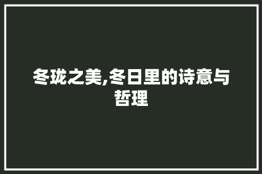 冬珑之美,冬日里的诗意与哲理