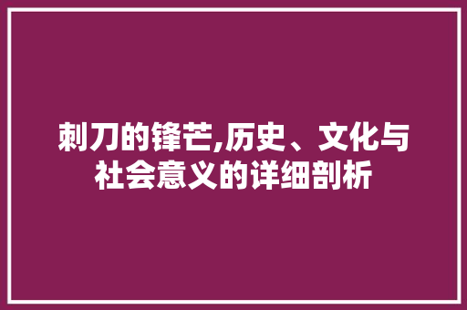 刺刀的锋芒,历史、文化与社会意义的详细剖析