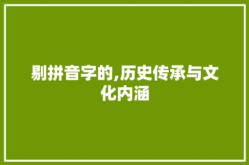 剔拼音字的,历史传承与文化内涵