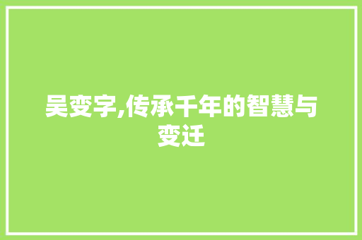 吴变字,传承千年的智慧与变迁
