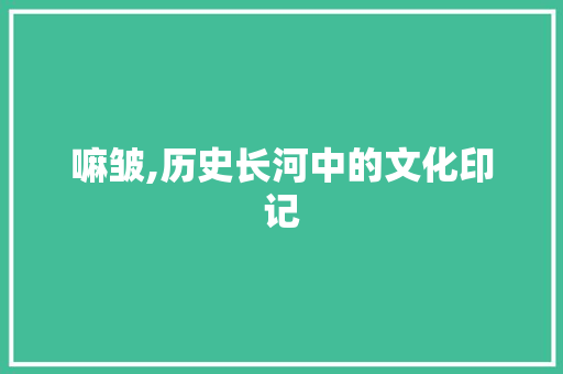 嘛皱,历史长河中的文化印记