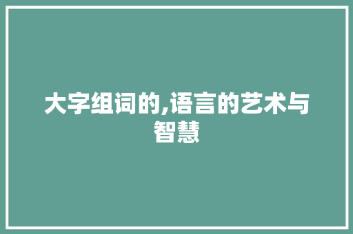 大字组词的,语言的艺术与智慧