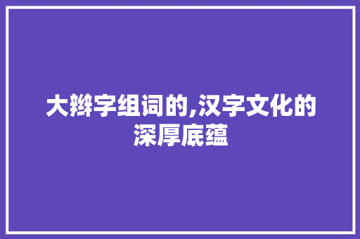 大辫字组词的,汉字文化的深厚底蕴