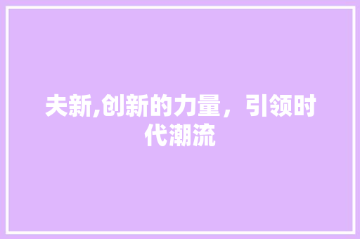 夫新,创新的力量，引领时代潮流