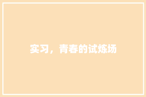 实习，青春的试炼场