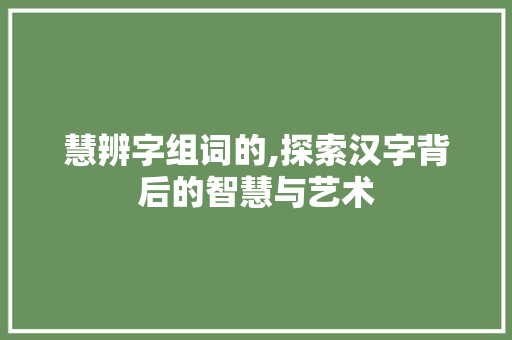 慧辨字组词的,探索汉字背后的智慧与艺术