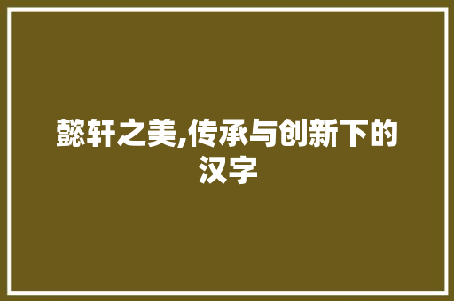 懿轩之美,传承与创新下的汉字