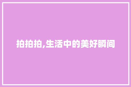 拍拍拍,生活中的美好瞬间