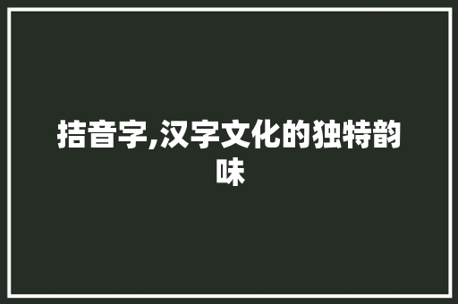 拮音字,汉字文化的独特韵味