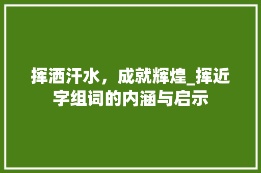 挥洒汗水，成就辉煌_挥近字组词的内涵与启示