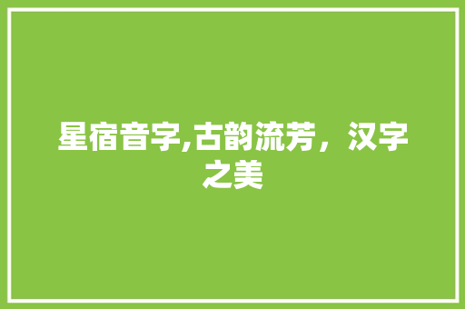 星宿音字,古韵流芳，汉字之美