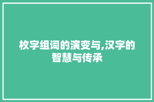 枚字组词的演变与,汉字的智慧与传承