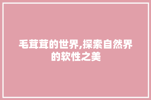 毛茸茸的世界,探索自然界的软性之美