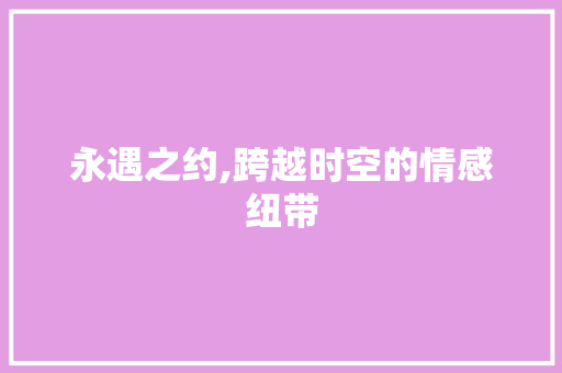 永遇之约,跨越时空的情感纽带