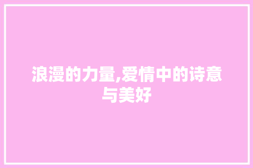 浪漫的力量,爱情中的诗意与美好