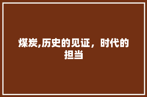 煤炭,历史的见证，时代的担当