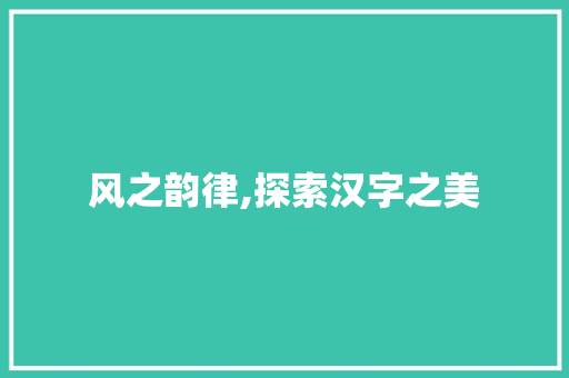 风之韵律,探索汉字之美
