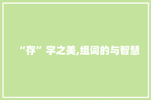 “存”字之美,组词的与智慧