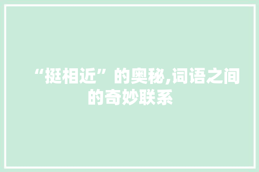 “挺相近”的奥秘,词语之间的奇妙联系
