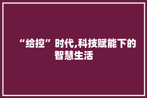 “给控”时代,科技赋能下的智慧生活
