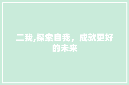 二我,探索自我，成就更好的未来