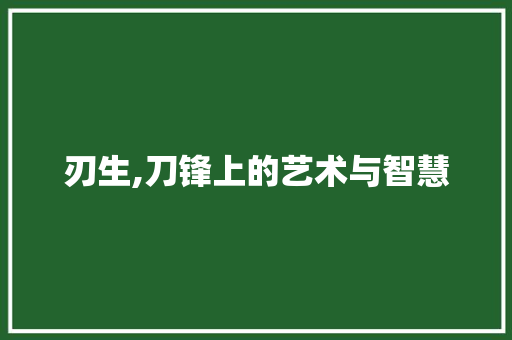 刃生,刀锋上的艺术与智慧