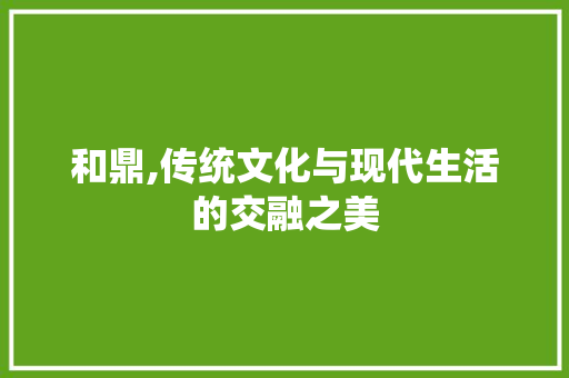 和鼎,传统文化与现代生活的交融之美