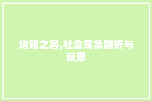 堵赌之害,社会现象剖析与反思