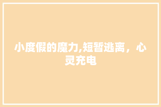 小度假的魔力,短暂逃离，心灵充电