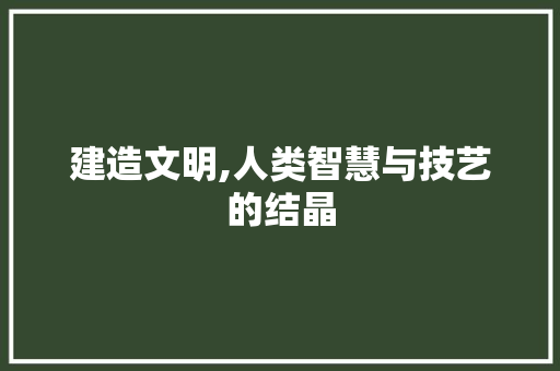 建造文明,人类智慧与技艺的结晶 应用文