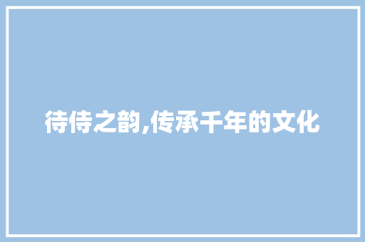 待侍之韵,传承千年的文化