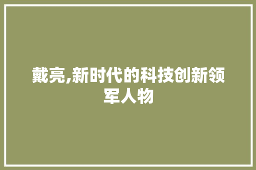 戴亮,新时代的科技创新领军人物