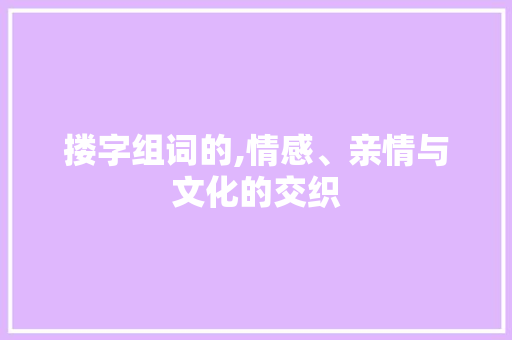 搂字组词的,情感、亲情与文化的交织
