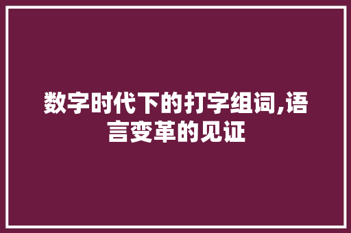 数字时代下的打字组词,语言变革的见证