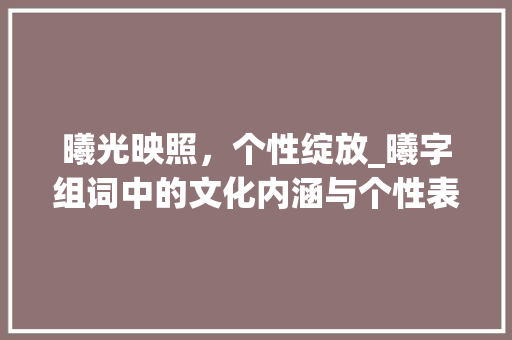曦光映照，个性绽放_曦字组词中的文化内涵与个性表达 项目报告