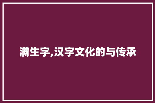 满生字,汉字文化的与传承