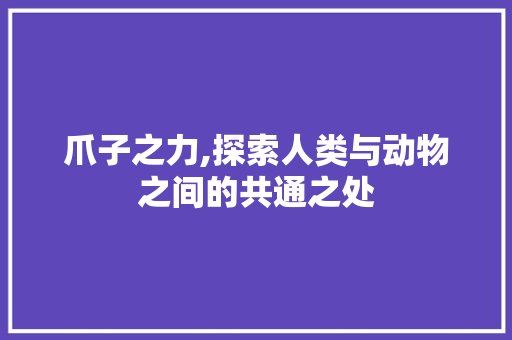 爪子之力,探索人类与动物之间的共通之处