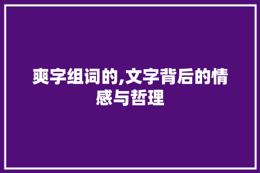 爽字组词的,文字背后的情感与哲理