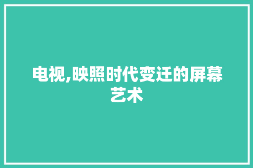 电视,映照时代变迁的屏幕艺术