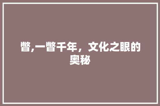 瞥,一瞥千年，文化之眼的奥秘 工作总结