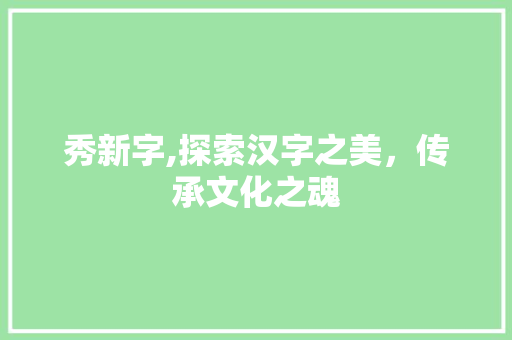 秀新字,探索汉字之美，传承文化之魂